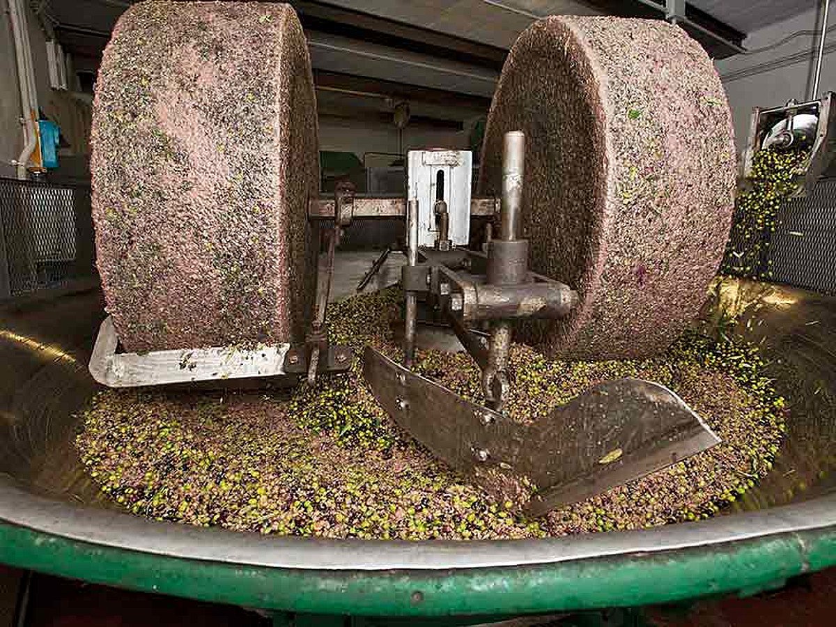 Molino de piedra moliendo la aceituna hasta formar la pasta